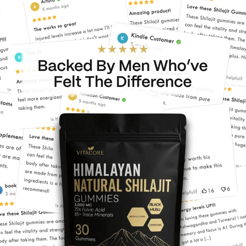 Himalayan Shilajit Gummies For Kidneys